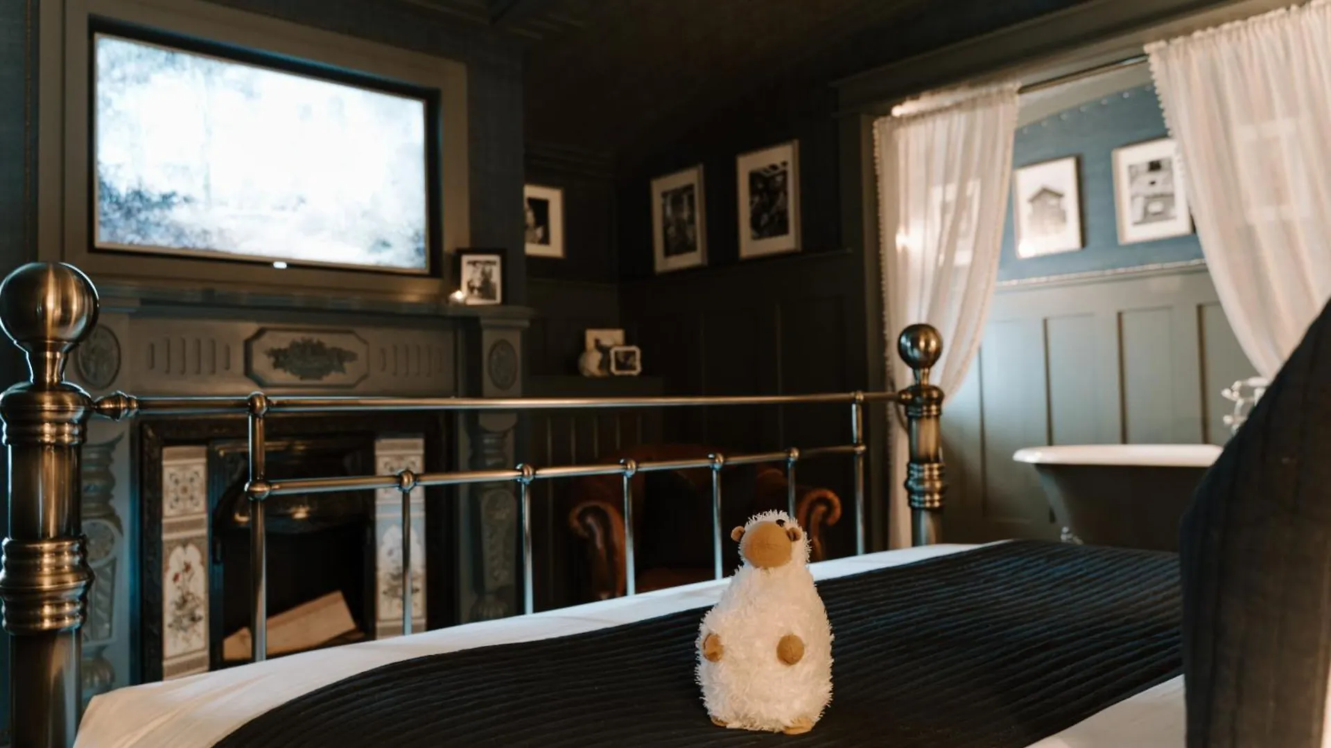 Sheddington Manor - 2 Bedroom Guest House & Cinema Belfast